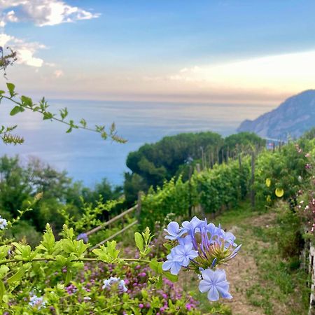Villa Pietrafiore Monterosso al Mare Exterior foto