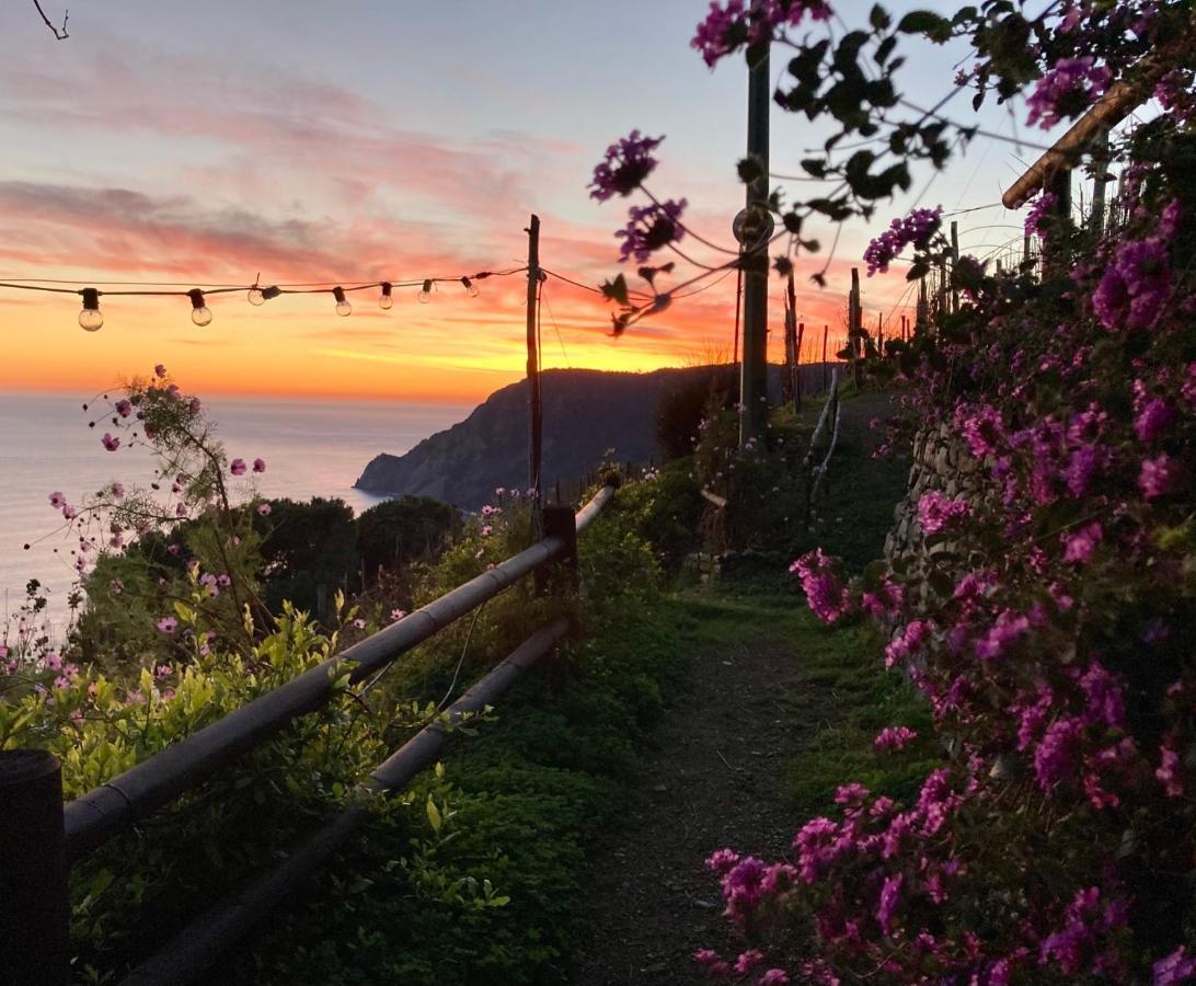 Villa Pietrafiore Monterosso al Mare Exterior foto