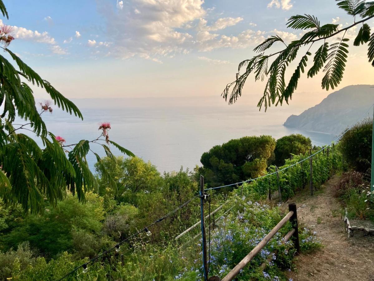 Villa Pietrafiore Monterosso al Mare Exterior foto