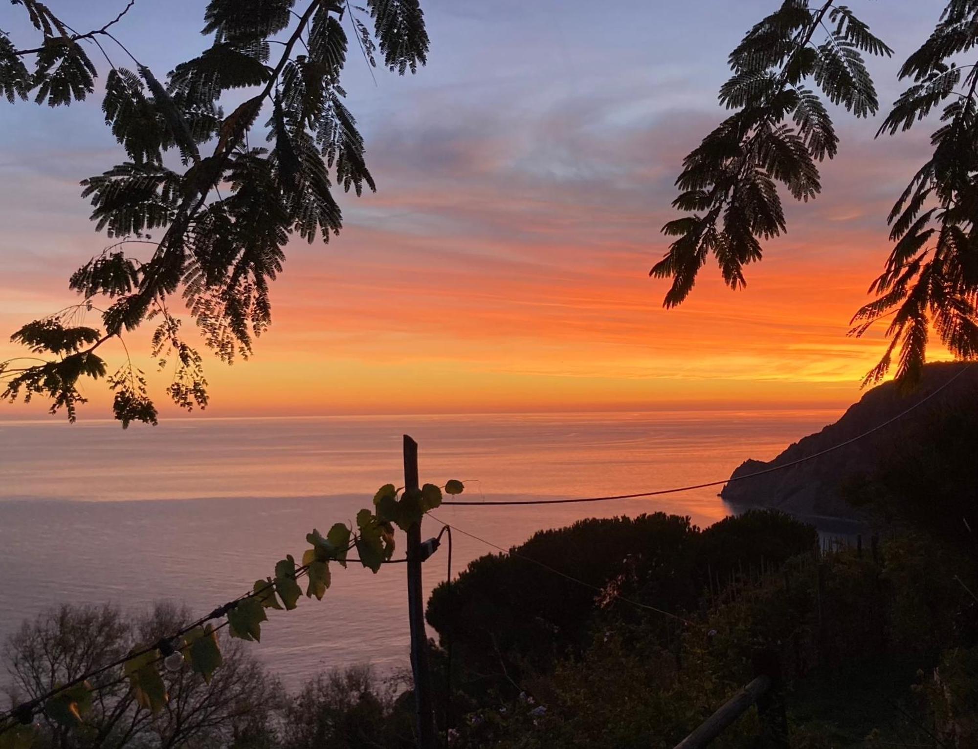 Villa Pietrafiore Monterosso al Mare Exterior foto