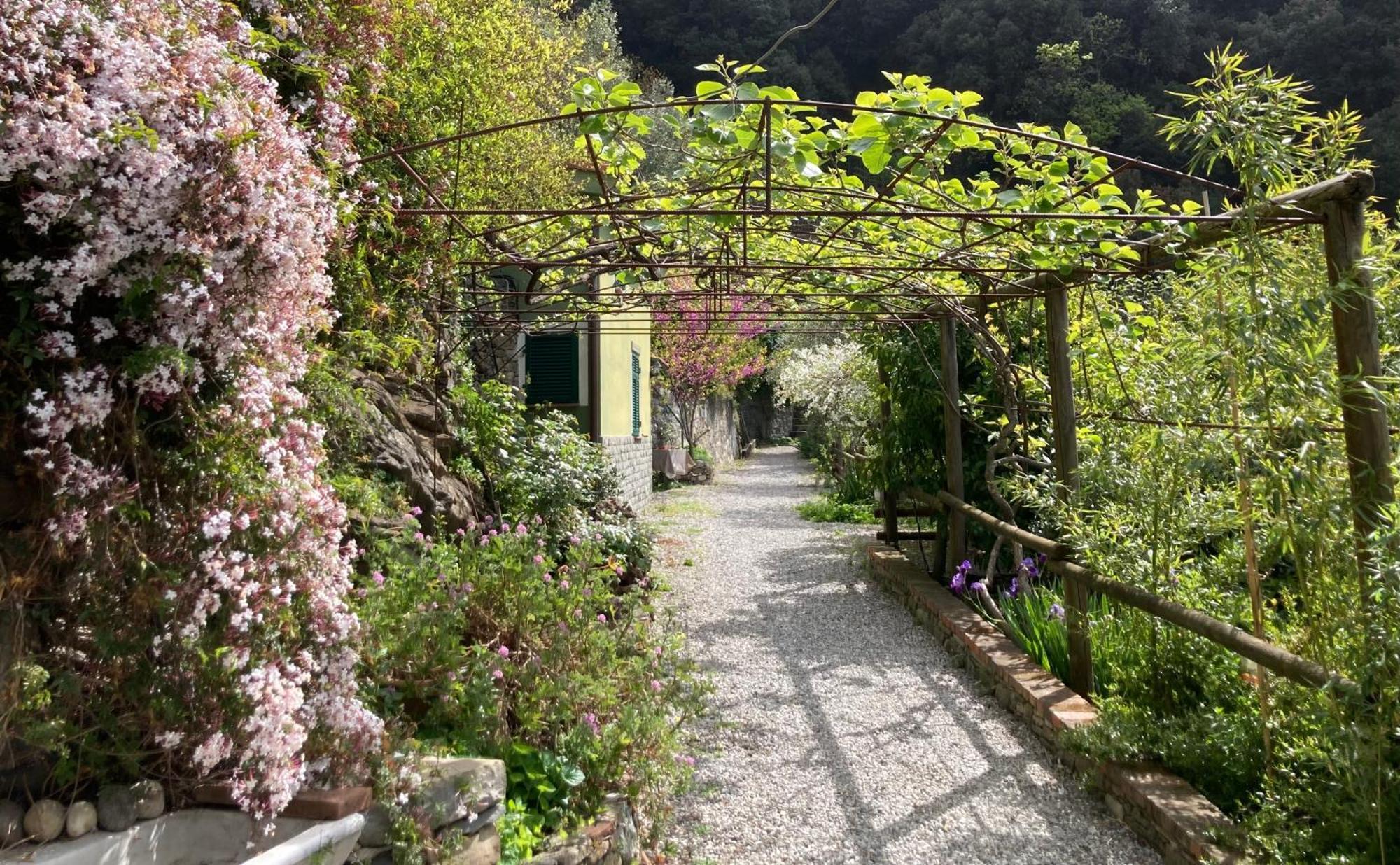 Villa Pietrafiore Monterosso al Mare Exterior foto