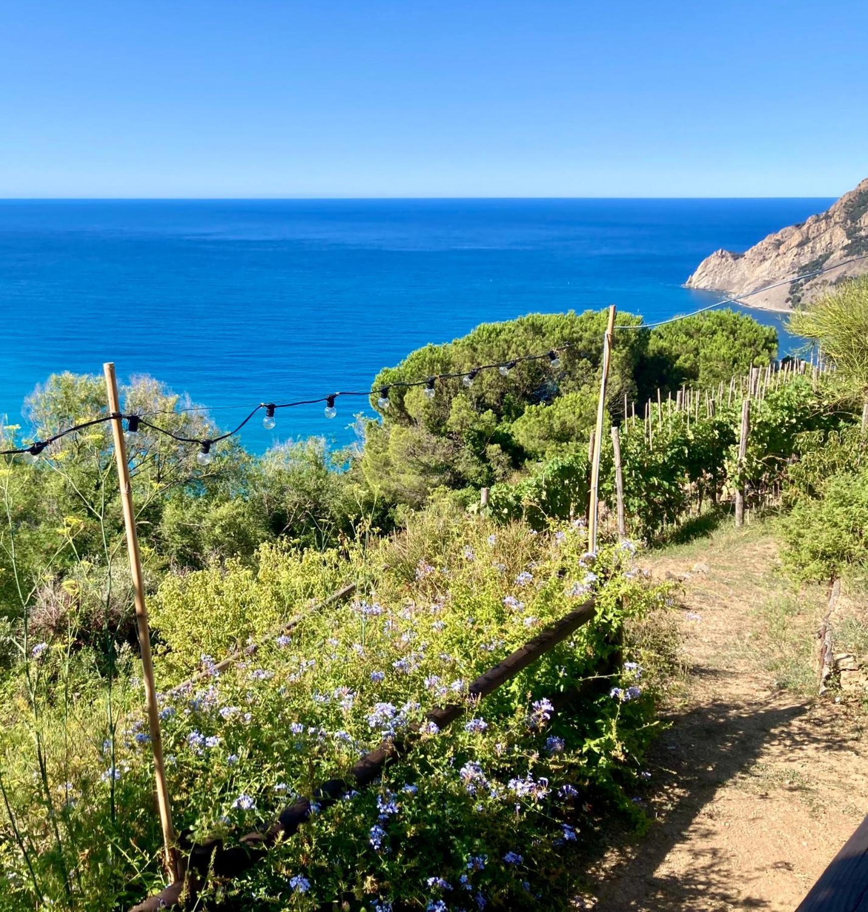 Villa Pietrafiore Monterosso al Mare Exterior foto