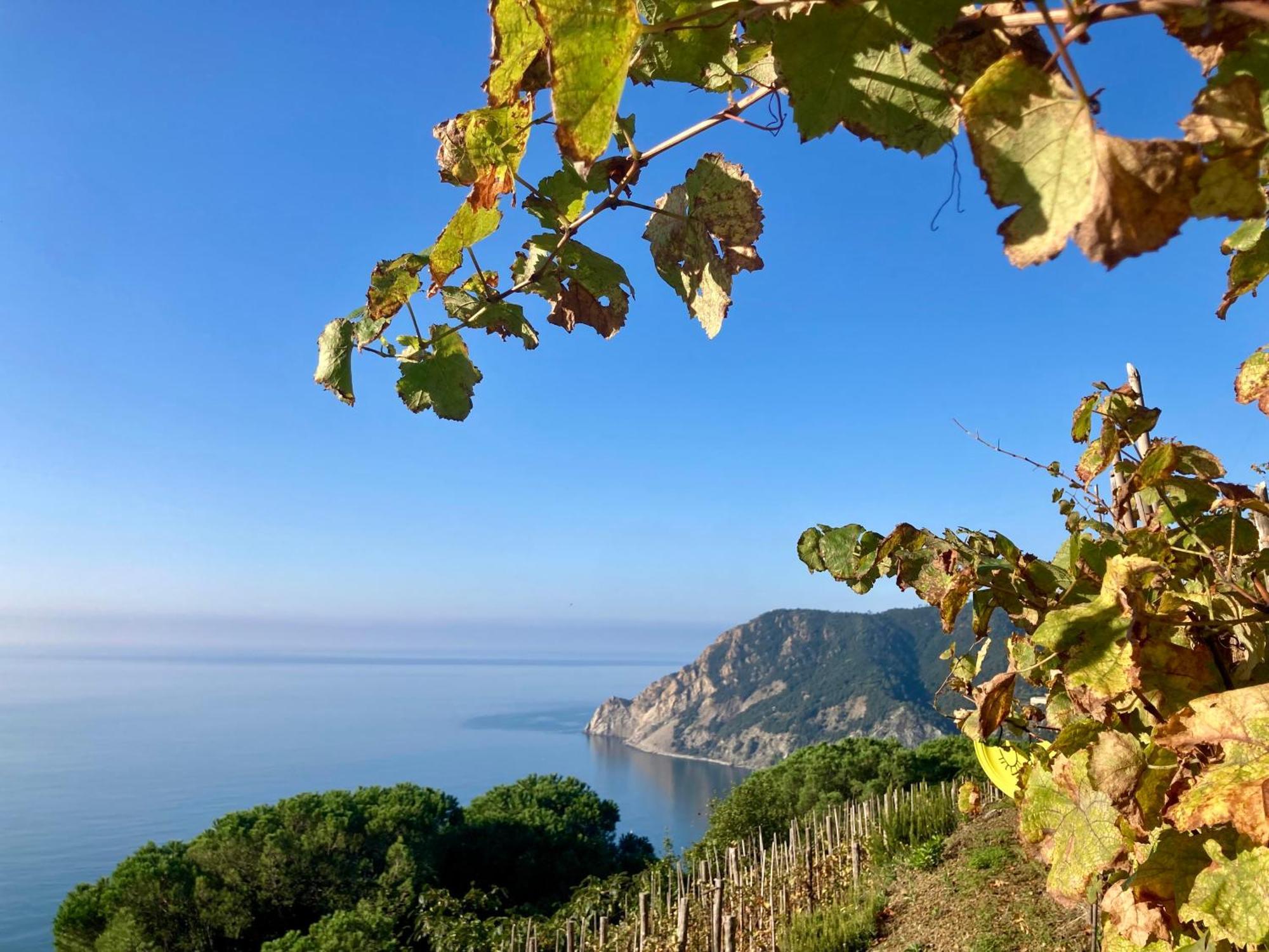 Villa Pietrafiore Monterosso al Mare Exterior foto